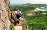 mdi - bar harbor accountants